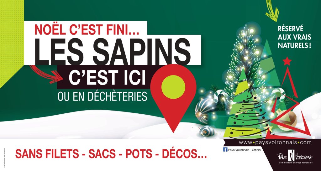 Collecte_Sapins (003)